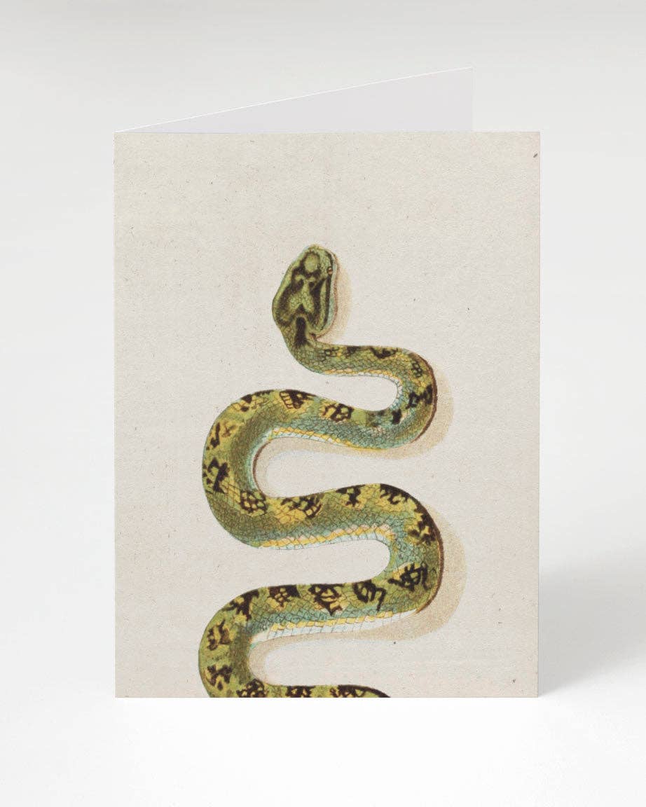COGNITIVE SURPLUS Green Snake Greeting Card