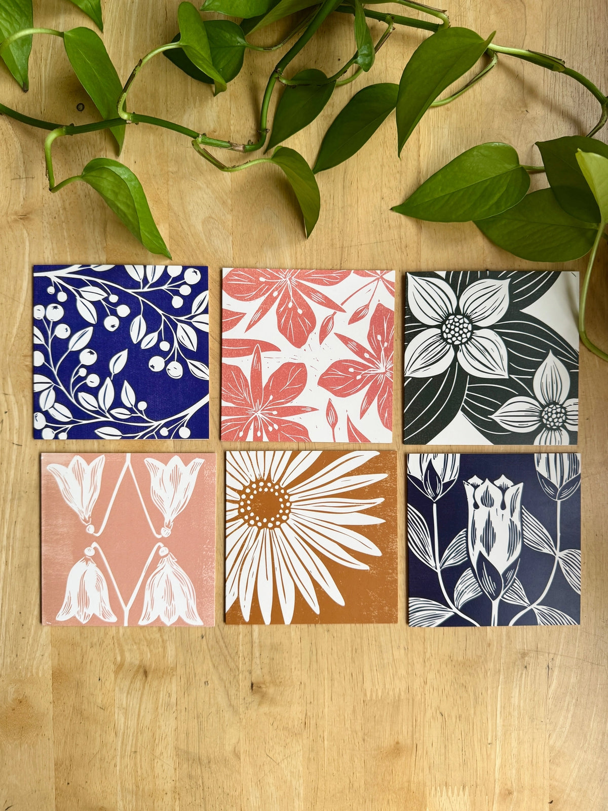 Alaskan Botanicals Greeting Card Pack by Adrift Prints