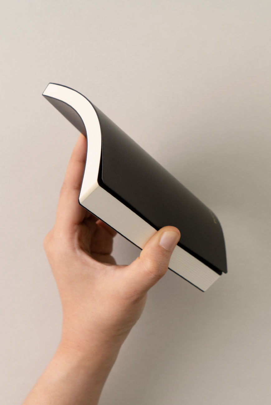 Apple Soft Notebook - Point of View