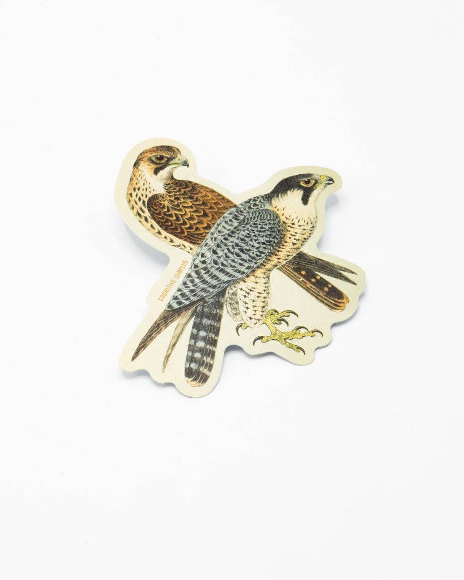COGNITIVE SURPLUS Peregrine Falcon Sticker