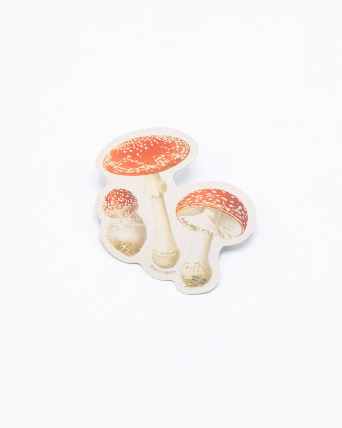 COGNITIVE SURPLUS Fly Agaric Poisonous Mushrooms