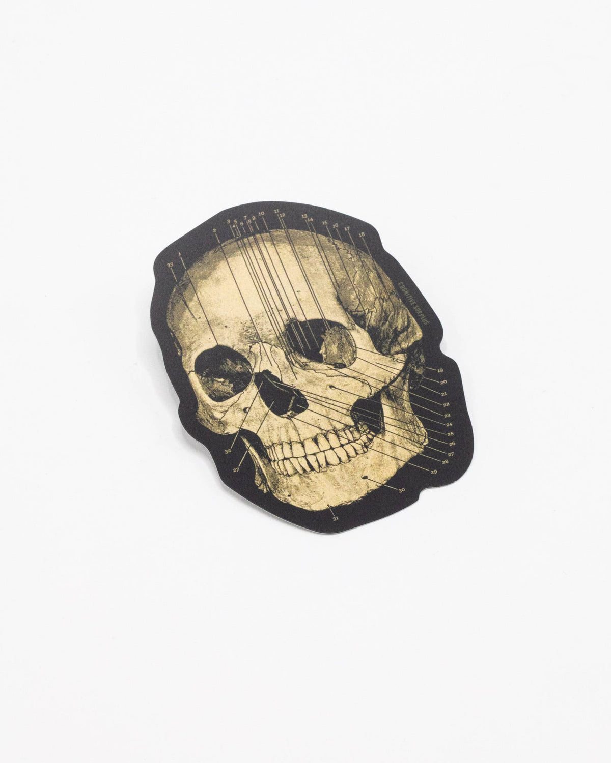 COGNITIVE SURPLUS Skull Sticker