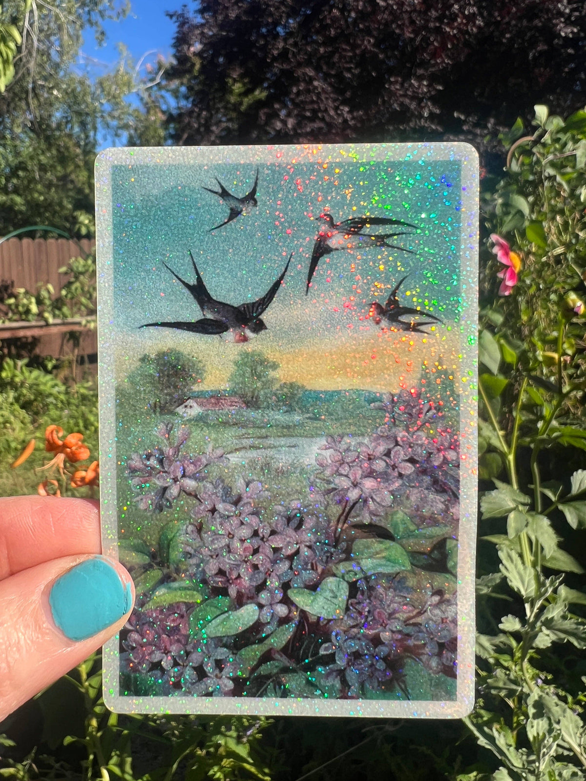 Swallows STICKER 4 Inch