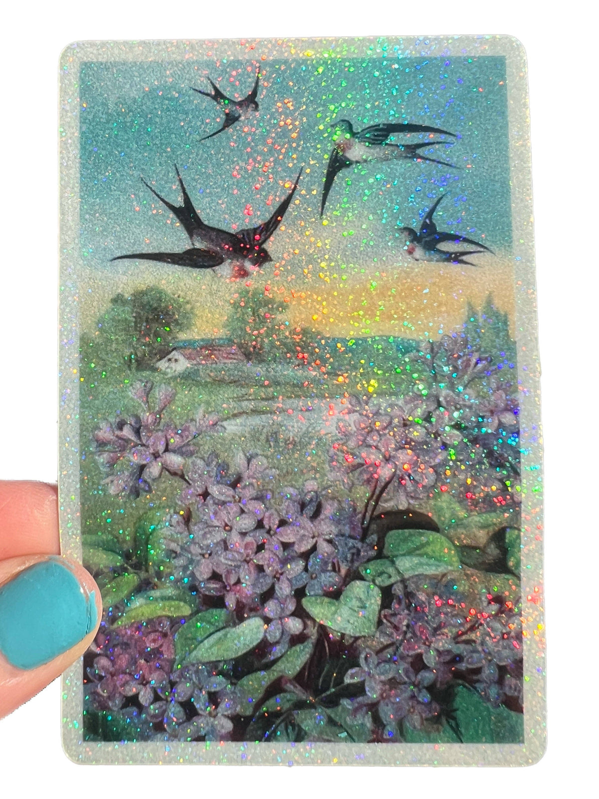 Swallows STICKER 4 Inch