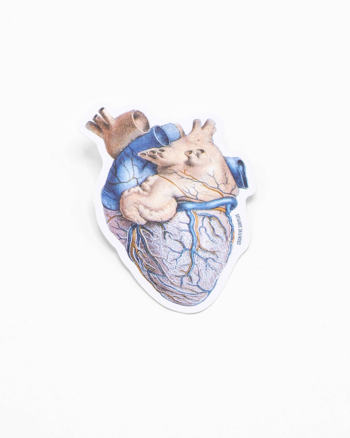 COGNITIVE SURPLUS Anatomical Heart Sticker