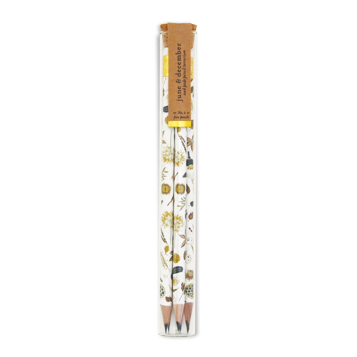 Seed Pods Pencil Terrarium with Glass Tube, set of 5 pencils
