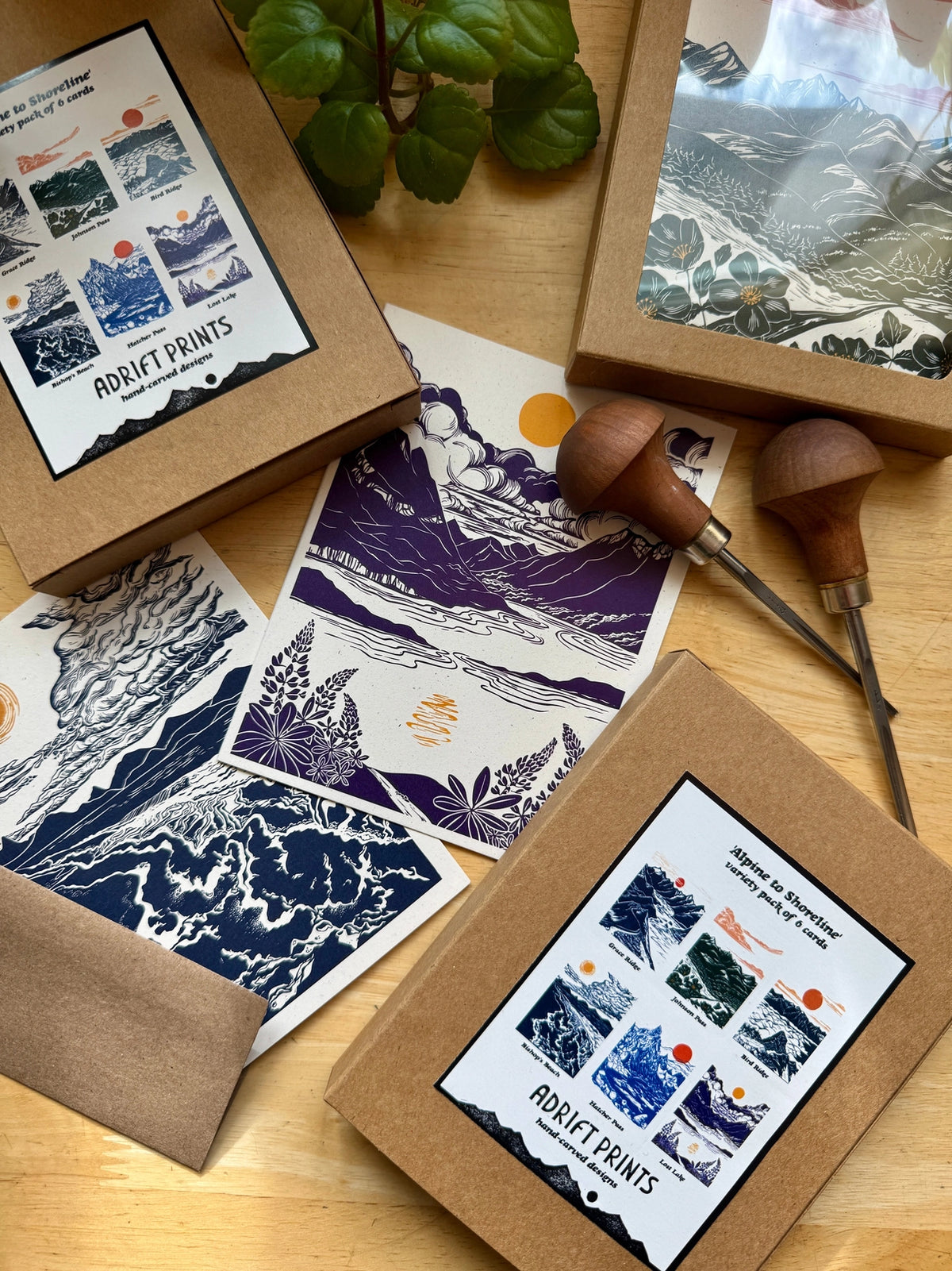 'Alpine to Shoreline' Boxed Card Set by Adrift Print