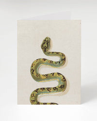 COGNITIVE SURPLUS Green Snake Greeting Card