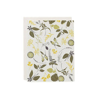 Cocktail Herbs Cards / Boxed Set of 8