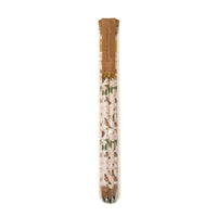 Monarchs Pencil Terrarium, Set of 5 Pencils