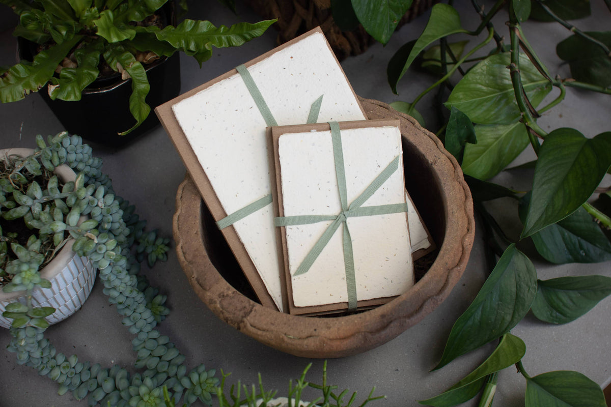 Seed Handmade Paper Pack