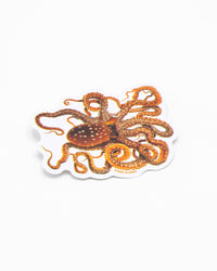 COGNITIVE SURPLUS Atlantic White-Spotted Octopus Sticker