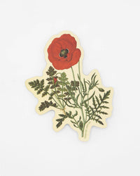 COGNITIVE SURPLUS Poppy Flower Sticker