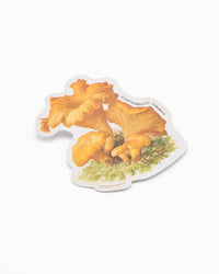 COGNITIVE SURPLUS Chanterelle Mushroom Sticker