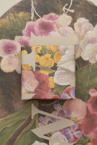Wrapping Paper "Still Life" - Point of View
