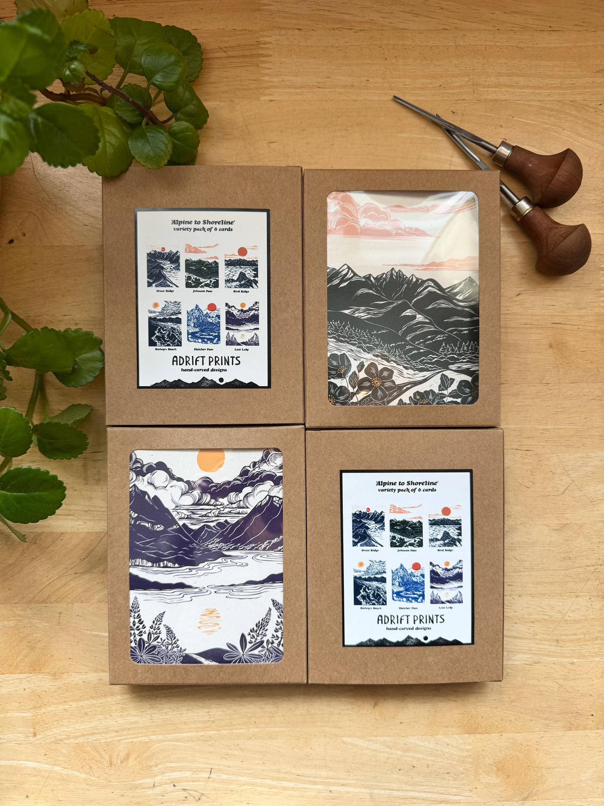 Alpine to Shoreline Boxed Card Set