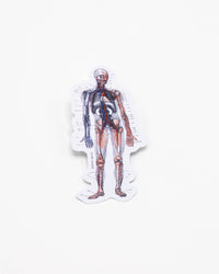 COGNITIVE SURPLUS Anatomy Sticker