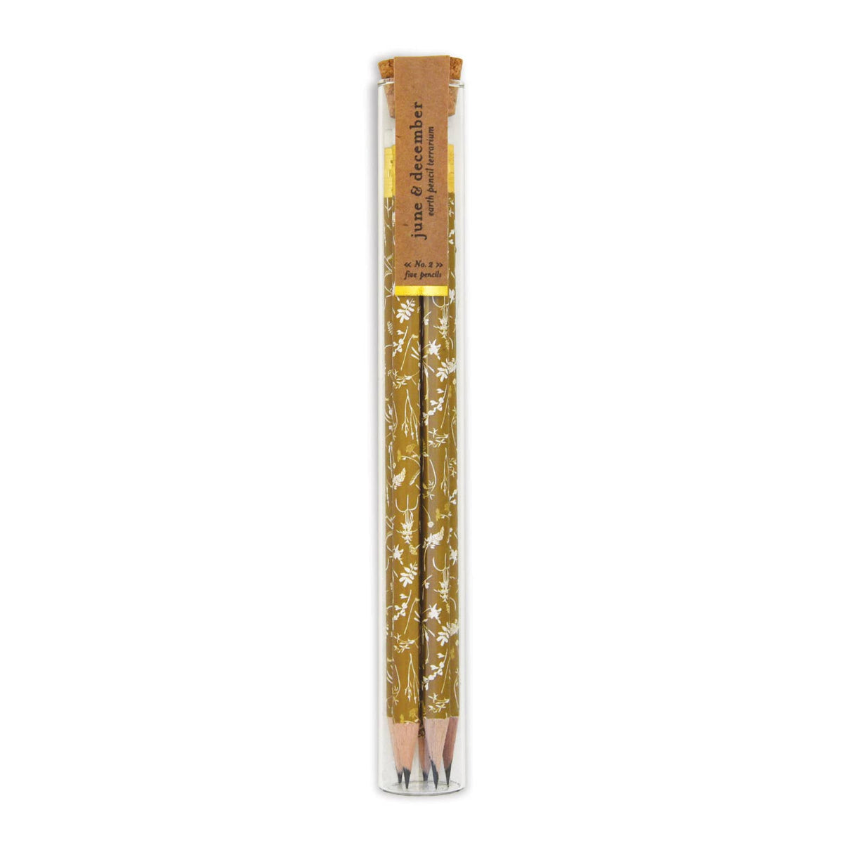 Earth Pencil Terrarium, set of 5 pencils