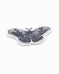 COGNITIVE SURPLUS Moth Sticker