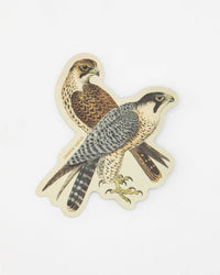 COGNITIVE SURPLUS Peregrine Falcon Sticker