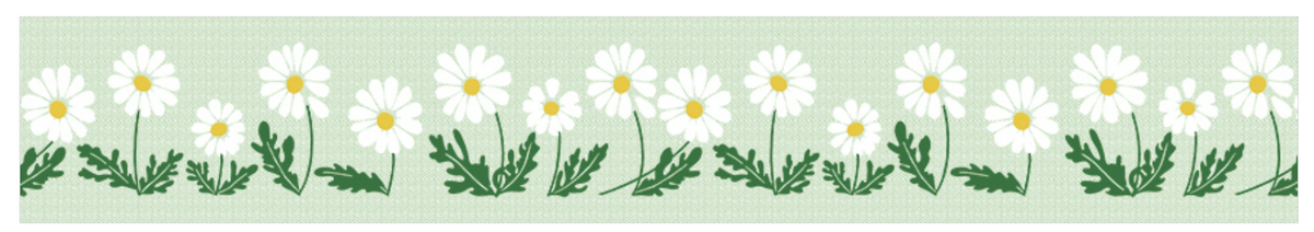 SODA transparent Masking Tape 1.2"  WIDE