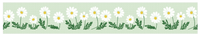 SODA transparent Masking Tape 1.2"  WIDE