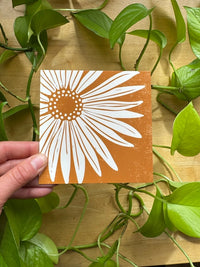 Siberian Aster Greeting Card