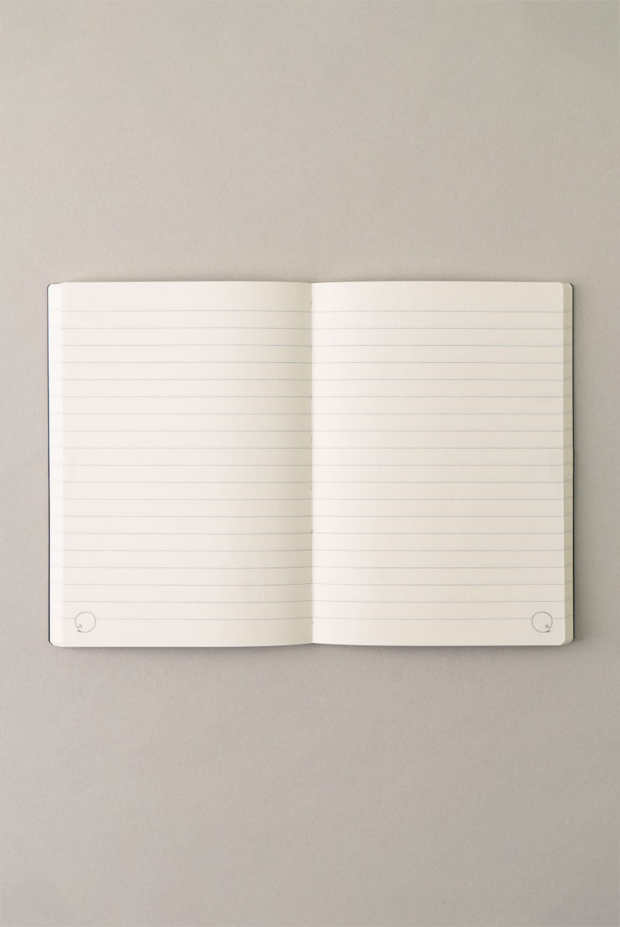 Apple Soft Notebook - Point of View