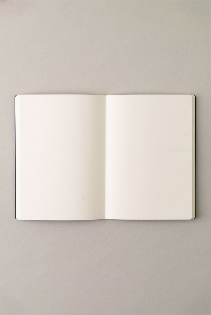 Apple Soft Notebook - Point of View