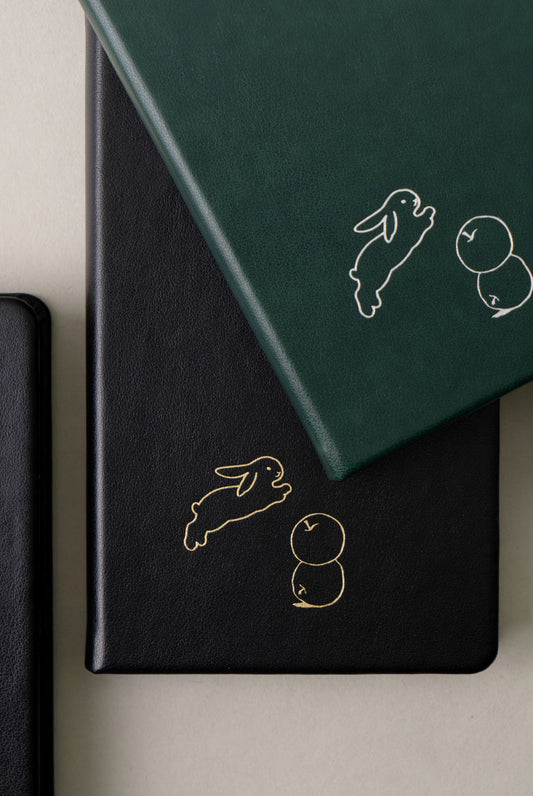 Apple Bunny Journal - Point of View