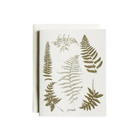 Fronds Card