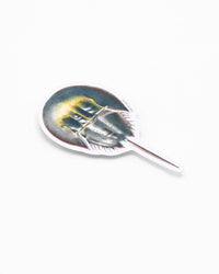 COGNITIVE SURPLUS Horseshoe Crab