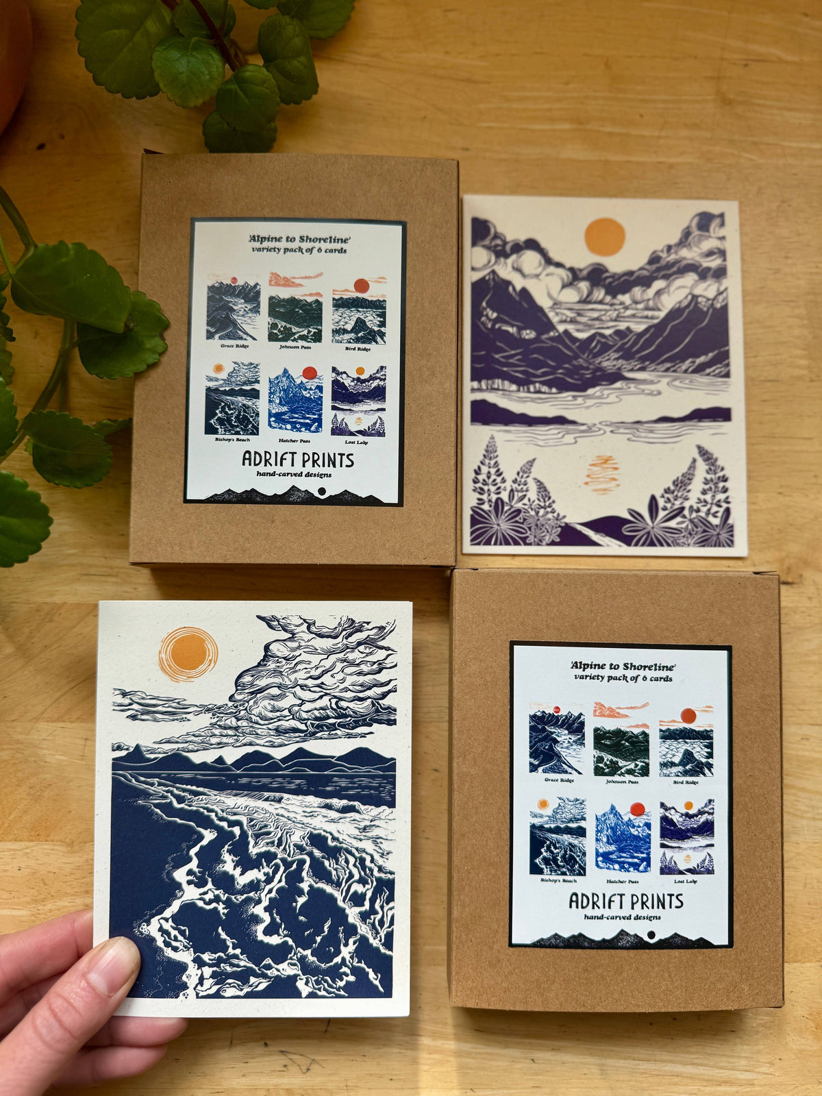 Alpine to Shoreline Boxed Card Set