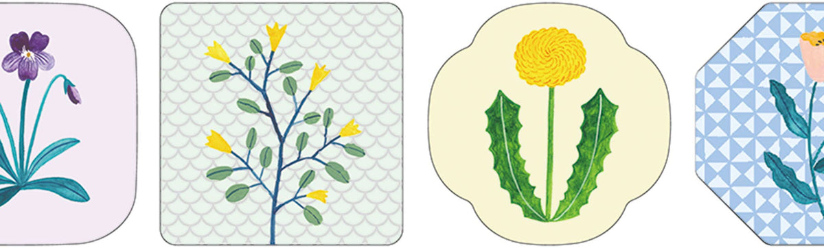 SODA transparent Masking Tape Sticker type