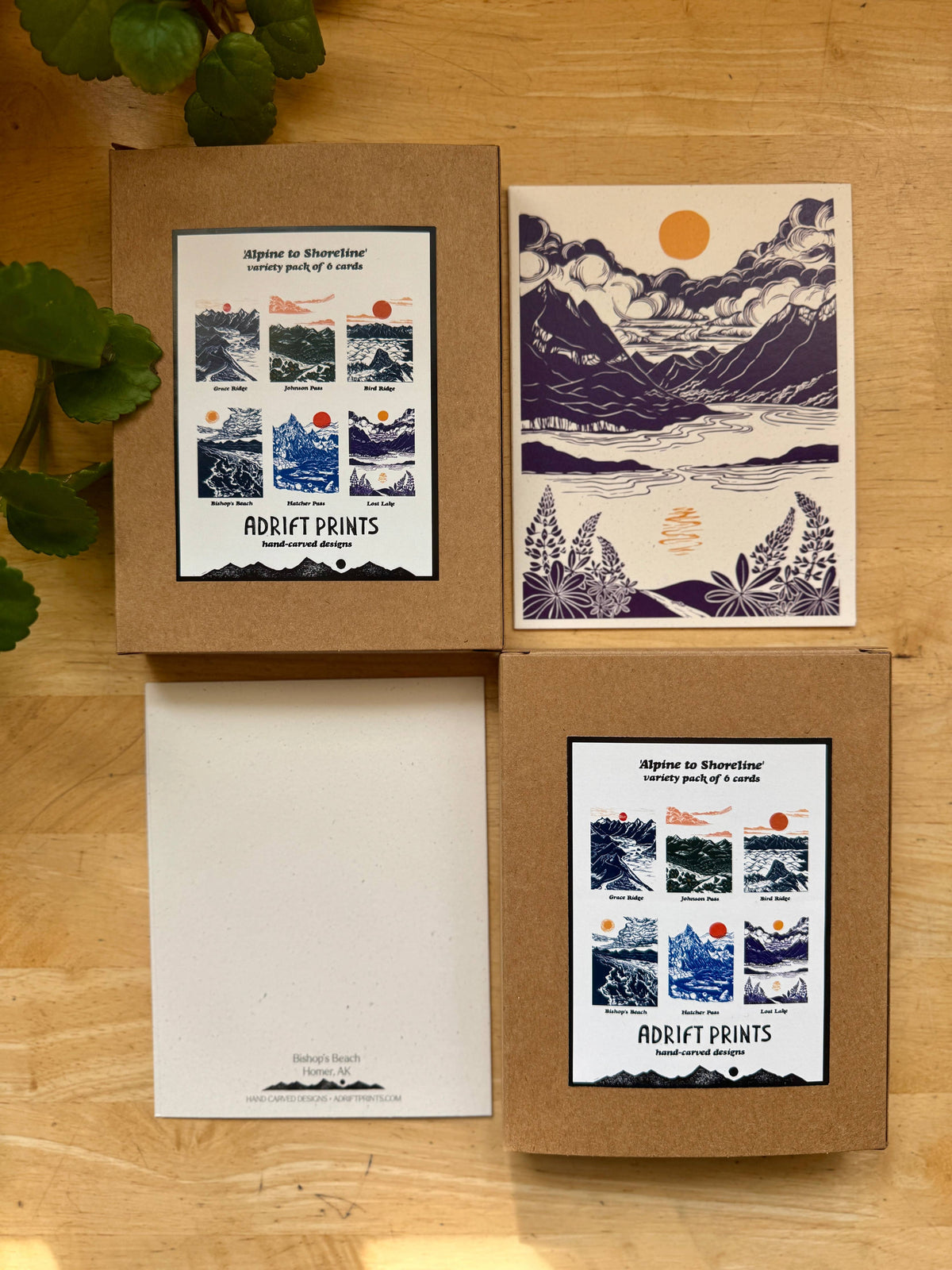 Alpine to Shoreline Boxed Card Set