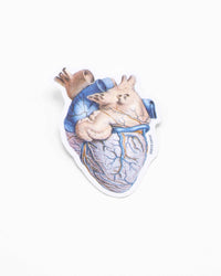 COGNITIVE SURPLUS Anatomical Heart Sticker