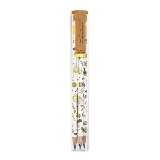 Seed Pods Pencil Terrarium with Glass Tube, set of 5 pencils