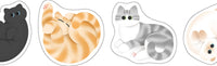 SODA transparent Masking Tape Sticker type