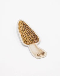 COGNITIVE SURPLUS Morel Mushroom